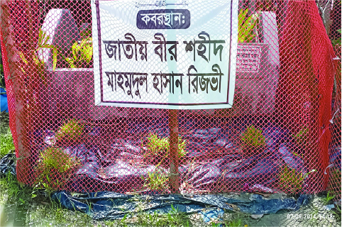 Image of মো: মাহমুদুল হাসান রিজভী